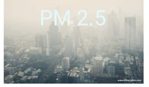 Read more about the article ฝุ่นละออง PM 2.5 คือ