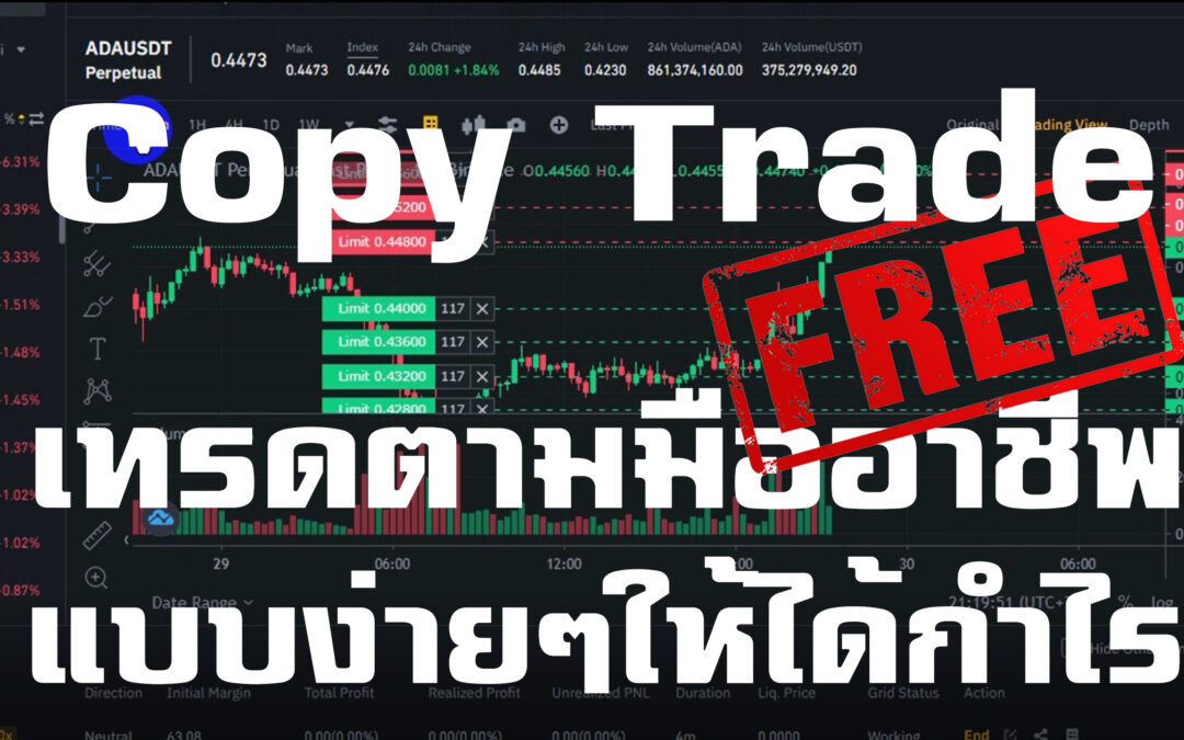 Copy Trade Binance เทรดตามมืออาชีพทำกำไรง่ายๆ ฟรี